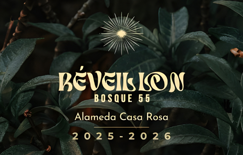 Réveillon Bosque 55 2025/2006 3